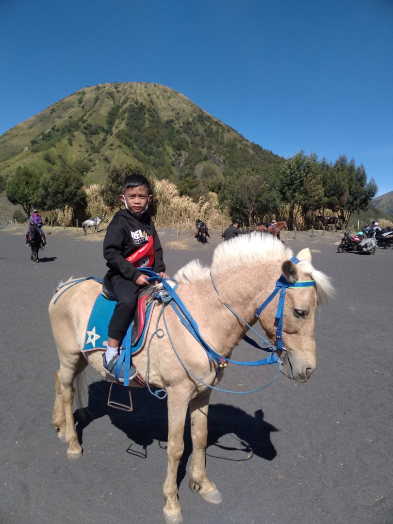 https://Azzammaulidanpurnomo1401.khitanan.id/dirmember/00000001/freshwater/photo-4390-3387-l-202212120220.jpg